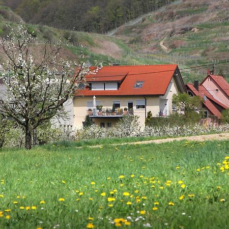 Ferienwohnung Graf Vogtsburg Exteriér fotografie