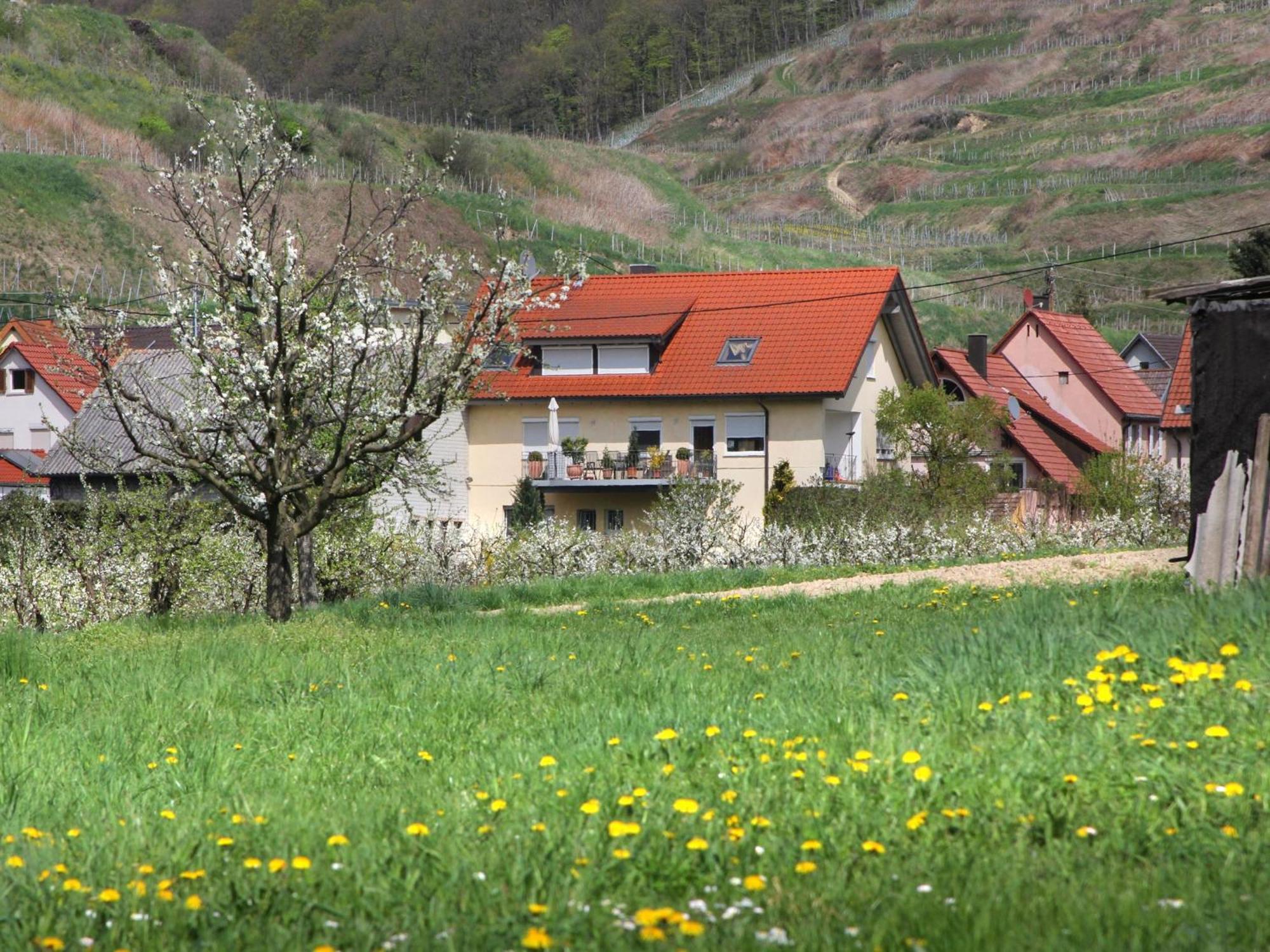 Ferienwohnung Graf Vogtsburg Exteriér fotografie
